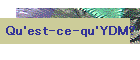Qu'est-ce-qu'YDM?