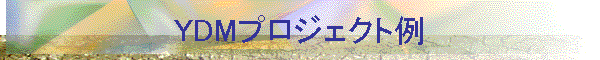 YDMプロジェクト例