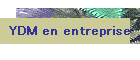 YDM en entreprise