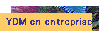 YDM en l'entreprises