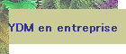 YDM en entreprise